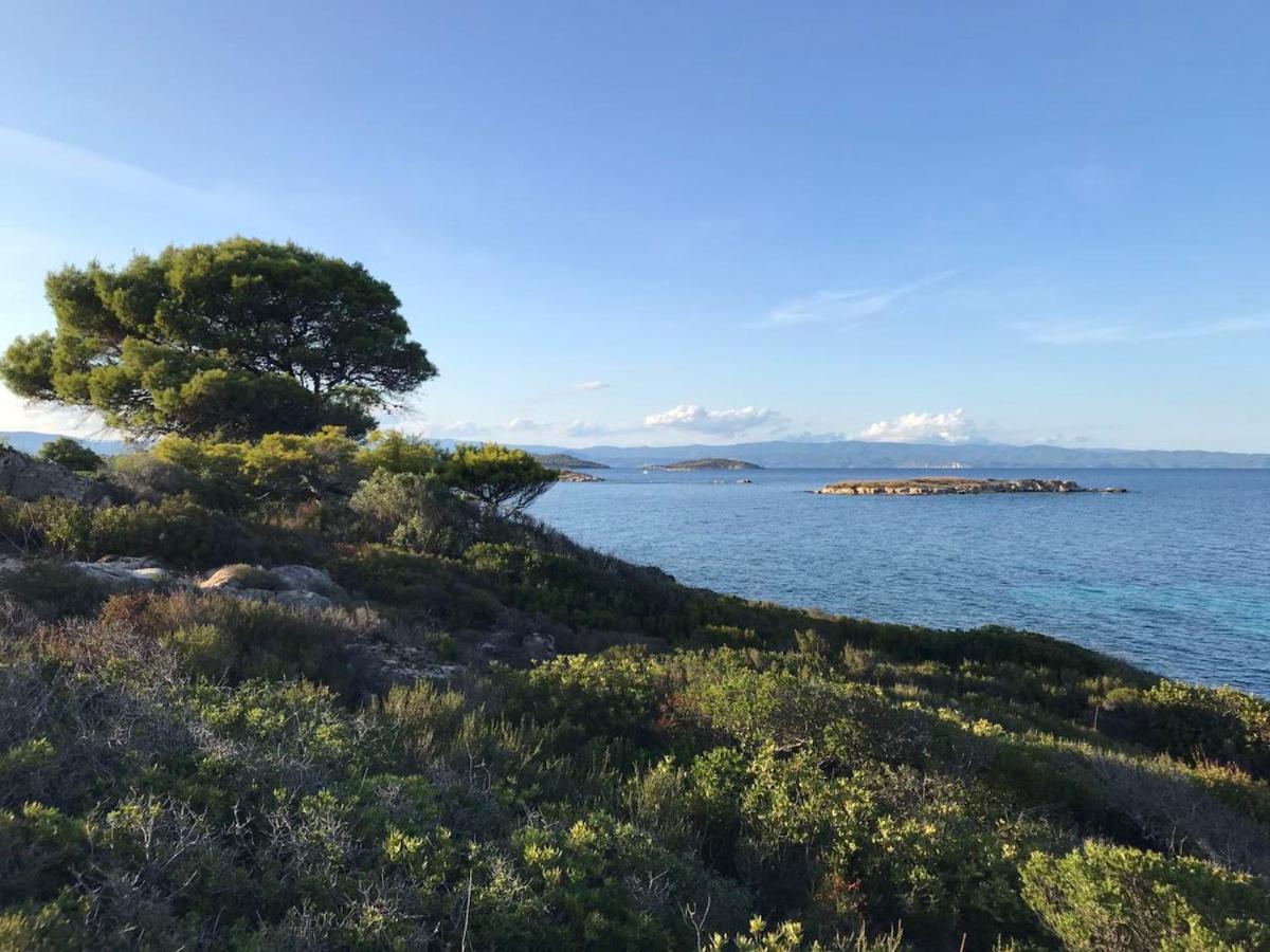 Makis Nest Apart-Hotel Vourvourou Eksteriør bilde